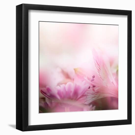 Beautiful Flowers Made with Color Filters-Timofeeva Maria-Framed Art Print