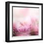 Beautiful Flowers Made with Color Filters-Timofeeva Maria-Framed Art Print