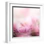 Beautiful Flowers Made with Color Filters-Timofeeva Maria-Framed Art Print