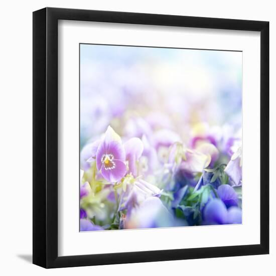 Beautiful Flowers Made with Color Filters-Timofeeva Maria-Framed Art Print