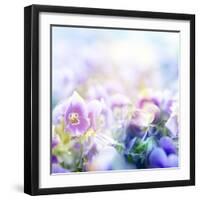 Beautiful Flowers Made with Color Filters-Timofeeva Maria-Framed Art Print