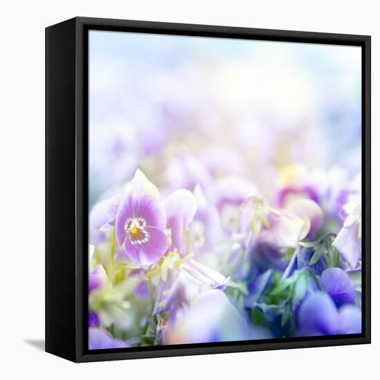 Beautiful Flowers Made with Color Filters-Timofeeva Maria-Framed Stretched Canvas