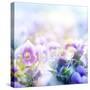 Beautiful Flowers Made with Color Filters-Timofeeva Maria-Stretched Canvas