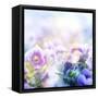 Beautiful Flowers Made with Color Filters-Timofeeva Maria-Framed Stretched Canvas