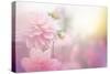 Beautiful Flowers Made with Color Filters-Timofeeva Maria-Stretched Canvas