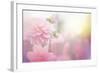 Beautiful Flowers Made with Color Filters-Timofeeva Maria-Framed Art Print