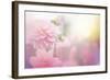 Beautiful Flowers Made with Color Filters-Timofeeva Maria-Framed Art Print