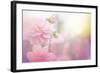 Beautiful Flowers Made with Color Filters-Timofeeva Maria-Framed Art Print