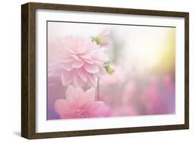 Beautiful Flowers Made with Color Filters-Timofeeva Maria-Framed Art Print