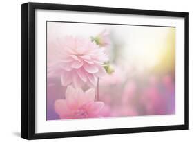 Beautiful Flowers Made with Color Filters-Timofeeva Maria-Framed Art Print