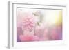 Beautiful Flowers Made with Color Filters-Timofeeva Maria-Framed Art Print