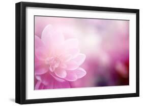 Beautiful Flowers Made with Color Filters-Timofeeva Maria-Framed Art Print