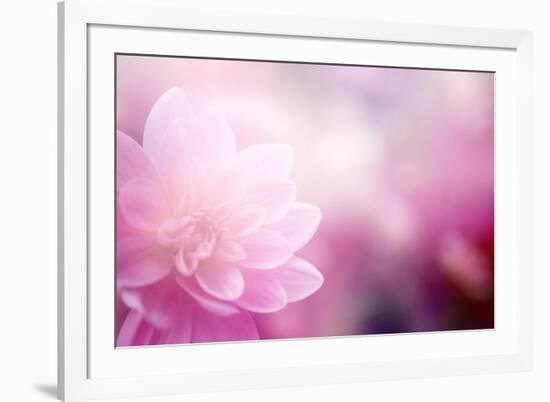 Beautiful Flowers Made with Color Filters-Timofeeva Maria-Framed Art Print