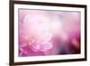 Beautiful Flowers Made with Color Filters-Timofeeva Maria-Framed Art Print