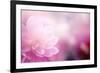 Beautiful Flowers Made with Color Filters-Timofeeva Maria-Framed Art Print