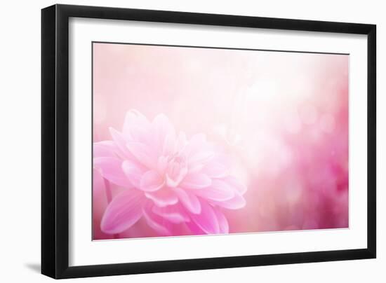 Beautiful Flowers Made with Color Filters-Timofeeva Maria-Framed Premium Giclee Print