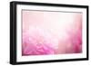 Beautiful Flowers Made with Color Filters-Timofeeva Maria-Framed Premium Giclee Print