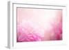 Beautiful Flowers Made with Color Filters-Timofeeva Maria-Framed Premium Giclee Print