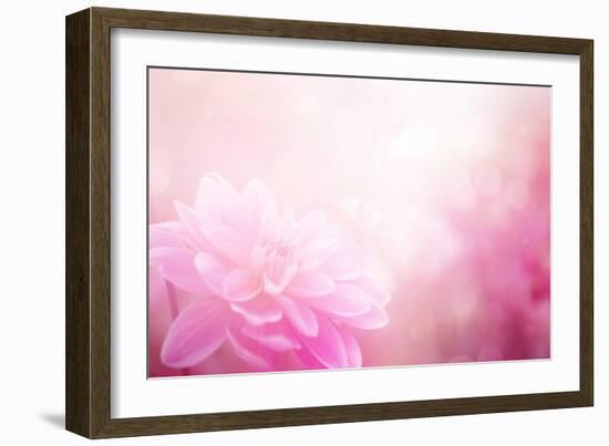 Beautiful Flowers Made with Color Filters-Timofeeva Maria-Framed Art Print