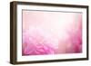 Beautiful Flowers Made with Color Filters-Timofeeva Maria-Framed Art Print