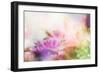 Beautiful Flowers Made with Color Filters-Timofeeva Maria-Framed Art Print