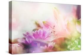 Beautiful Flowers Made with Color Filters-Timofeeva Maria-Stretched Canvas
