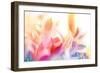 Beautiful Flowers Made with Color Filters-Timofeeva Maria-Framed Art Print