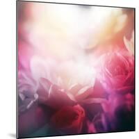 Beautiful Flowers Made with Color Filters-Timofeeva Maria-Mounted Art Print