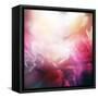 Beautiful Flowers Made with Color Filters-Timofeeva Maria-Framed Stretched Canvas