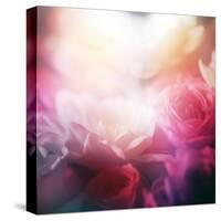 Beautiful Flowers Made with Color Filters-Timofeeva Maria-Stretched Canvas