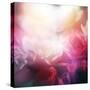 Beautiful Flowers Made with Color Filters-Timofeeva Maria-Stretched Canvas