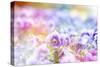 Beautiful Flowers Made with Color Filters-Timofeeva Maria-Stretched Canvas