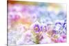 Beautiful Flowers Made with Color Filters-Timofeeva Maria-Stretched Canvas