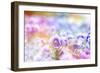 Beautiful Flowers Made with Color Filters-Timofeeva Maria-Framed Art Print