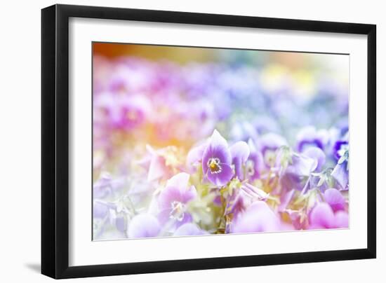 Beautiful Flowers Made with Color Filters-Timofeeva Maria-Framed Art Print