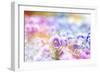 Beautiful Flowers Made with Color Filters-Timofeeva Maria-Framed Art Print