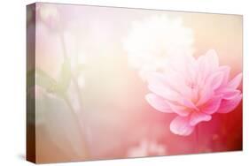 Beautiful Flowers Made with Color Filters-Timofeeva Maria-Stretched Canvas