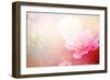 Beautiful Flowers Made with Color Filters-Timofeeva Maria-Framed Art Print