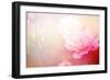 Beautiful Flowers Made with Color Filters-Timofeeva Maria-Framed Art Print