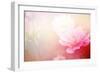 Beautiful Flowers Made with Color Filters-Timofeeva Maria-Framed Art Print