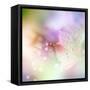 Beautiful Flowers Made with Color Filters-Timofeeva Maria-Framed Stretched Canvas