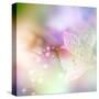 Beautiful Flowers Made with Color Filters-Timofeeva Maria-Stretched Canvas