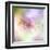 Beautiful Flowers Made with Color Filters-Timofeeva Maria-Framed Art Print