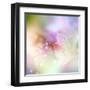 Beautiful Flowers Made with Color Filters-Timofeeva Maria-Framed Art Print