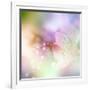 Beautiful Flowers Made with Color Filters-Timofeeva Maria-Framed Art Print