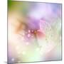 Beautiful Flowers Made with Color Filters-Timofeeva Maria-Mounted Art Print