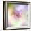 Beautiful Flowers Made with Color Filters-Timofeeva Maria-Framed Art Print