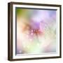 Beautiful Flowers Made with Color Filters-Timofeeva Maria-Framed Art Print