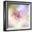 Beautiful Flowers Made with Color Filters-Timofeeva Maria-Framed Art Print