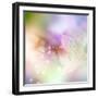 Beautiful Flowers Made with Color Filters-Timofeeva Maria-Framed Art Print